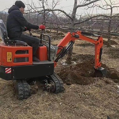 Trees Planting